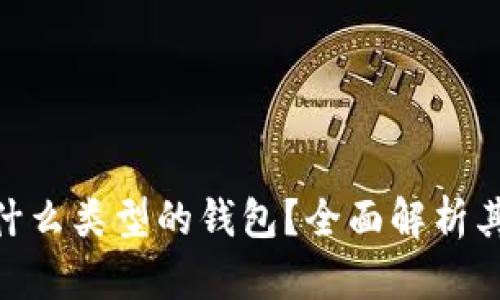 Tokenim是什么类型的钱包？全面解析其功能与特点