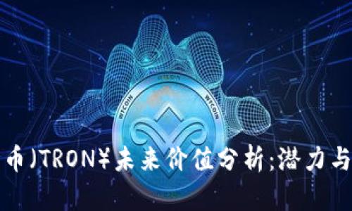 波场币（TRON）未来价值分析：潜力与挑战
