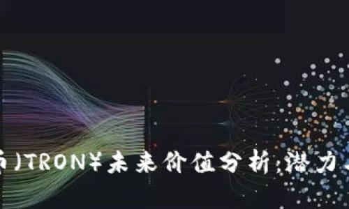 波场币（TRON）未来价值分析：潜力与挑战
