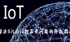 解决Bitdock打不开问题的终极指南
