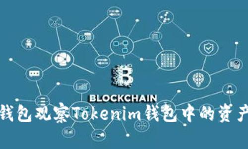 如何使用TP钱包观察Tokenim钱包中的资产和交易情况