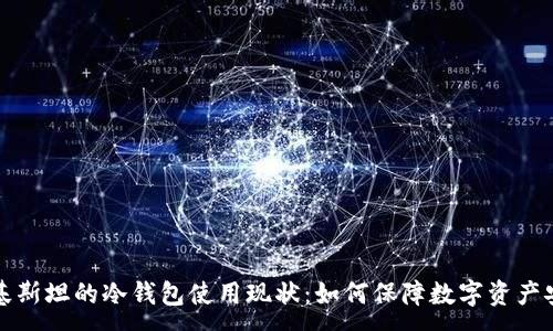 :
巴基斯坦的冷钱包使用现状：如何保障数字资产安全
