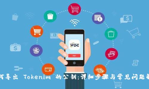 如何导出 Tokenim 的公钥：详细步骤与常见问题解答
