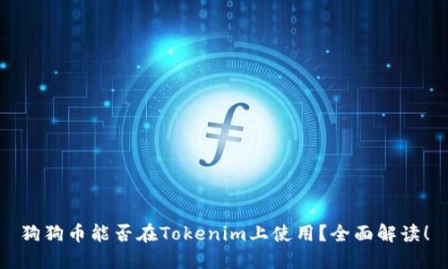 狗狗币能否在Tokenim上使用？全面解读！