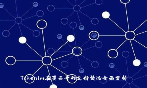 Tokenim在墨西哥的支持情况全面分析