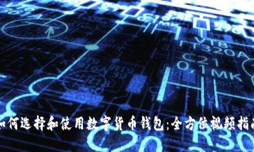 如何选择和使用数字货币钱包：全方位视频指南
