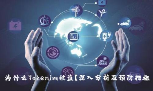 为什么Tokenim被盗？深入分析及预防措施