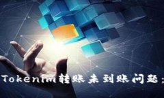如何解决Tokenim转账未到账问题：详尽指南