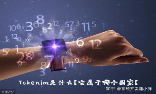 Tokenim是什么？它属于哪个国家？