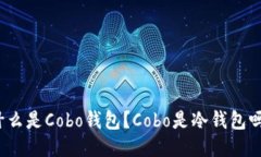 什么是Cobo钱包？Cobo是冷钱包吗？