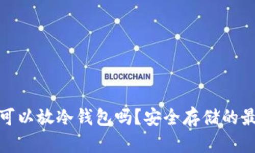 火腿币可以放冷钱包吗？安全存储的最佳选择