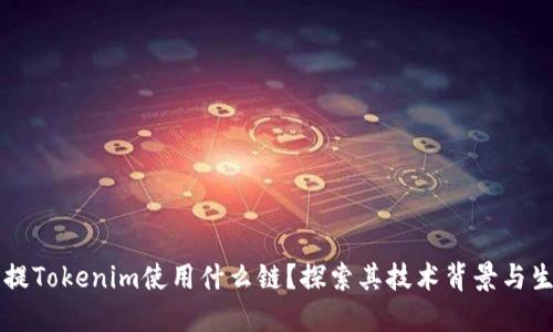 比特币提Tokenim使用什么链？探索其技术背景与生态体系