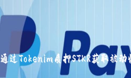 如何通过Tokenim质押STKR获取被动收入？