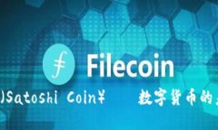 中本聪币（Satoshi Coin）——数字货币的未来之星