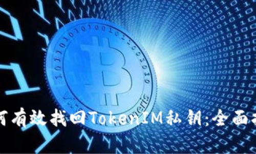 如何有效找回TokenIM私钥：全面指南