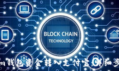   
如何将Tokenim钱包资金转入支付宝：详细步骤与注意事项