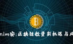 放Tokenim安：区块链投资新机遇与风险分析