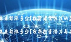 波场币未来能涨多少？投资者需关注的关键因素