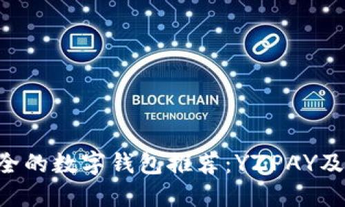 十大最安全的数字钱包推荐：YZPAY及其竞争者!