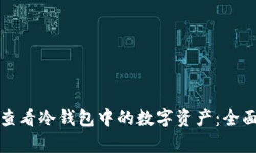 如何查看冷钱包中的数字资产：全面指南