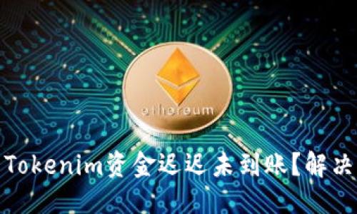 优质
为什么您的Tokenim资金迟迟未到账？解决方法与建议