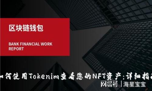 如何使用Tokenim查看您的NFT资产：详细指南