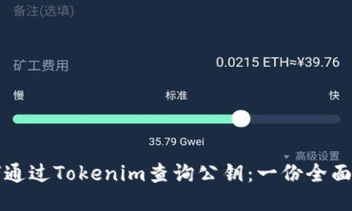 如何通过Tokenim查询公钥：一份全面指南