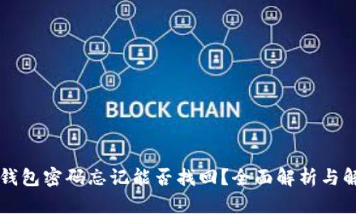 以太坊钱包密码忘记能否找回？全面解析与解决方案