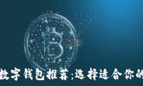   
最好用的数字钱包推荐：选择适合你的理财伴侣