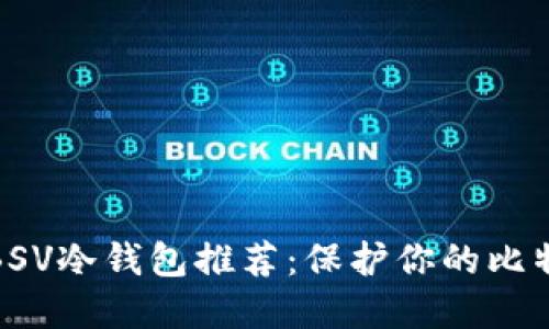 最安全的BSV冷钱包推荐：保护你的比特币SV资产