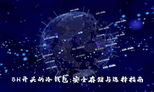 BH开头的冷钱包：安全存储与选择指南