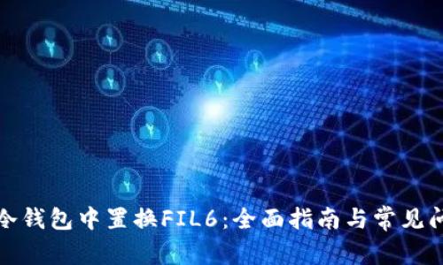 如何在冷钱包中置换FIL6：全面指南与常见问题解答