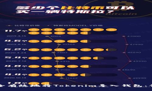 如何安全有效地将Tokenim导入钱包：详细指南