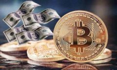 如何用盾牌保护你的冷钱包：安全存储指南