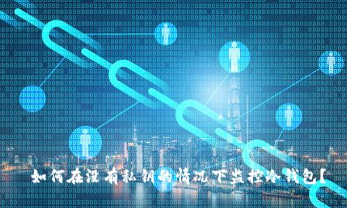  如何在没有私钥的情况下监控冷钱包？