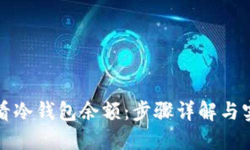 如何查看冷钱包余额：步骤详解与实用技巧