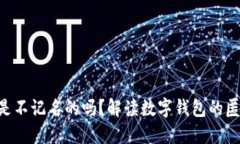 Tokenim钱包是不记名的吗？解读数字钱包的匿名性