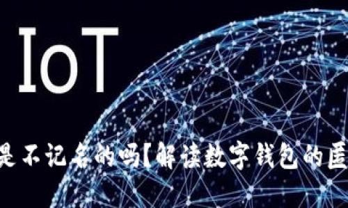 Tokenim钱包是不记名的吗？解读数字钱包的匿名性与安全性