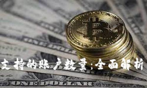 冷钱包APP支持的账户数量：全面解析与行业标准