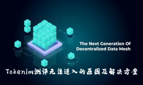 Tokenim测评无法进入的原因及解决方案