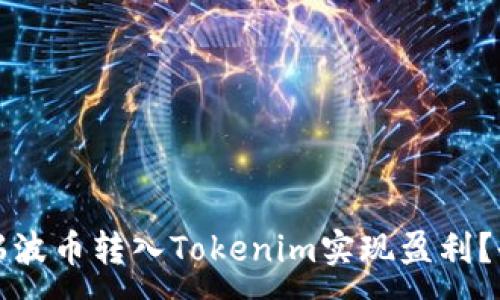 :
如何将瑞波币转入Tokenim实现盈利？全面指南
