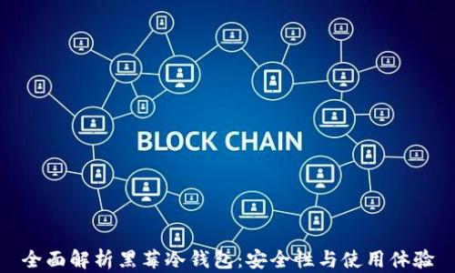 
全面解析黑莓冷钱包：安全性与使用体验