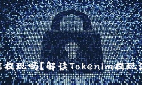 Tokenim的币能提现吗？解读Tokenim提现流程与注意事项
