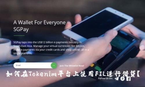 如何在Tokenim平台上使用FIL进行借贷？