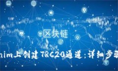 如何在Tokenim上创建TRC20通道：详细步骤与实用技