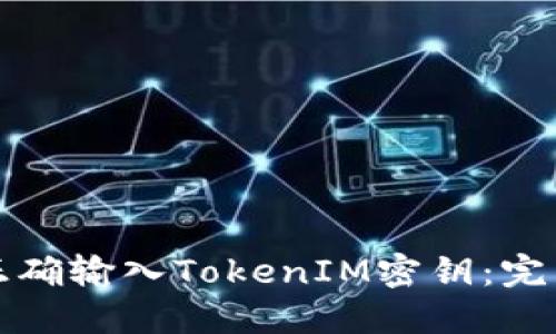 如何正确输入TokenIM密钥：完整指南