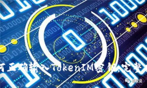 如何正确输入TokenIM密钥：完整指南