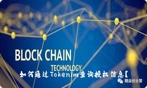 如何通过Tokenim查询授权信息？