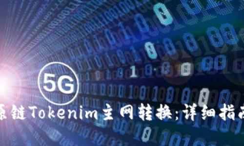 如何进行比原链Tokenim主网转换：详细指南与实用建议