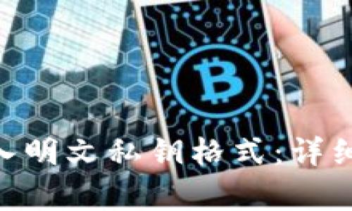 如何在Tokenim中导入明文私钥格式：详细教程与常见问题解答